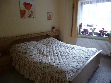Maison de vacances /en/au Groenwiehe (Binnenland)ou appartement ou maison de vacances