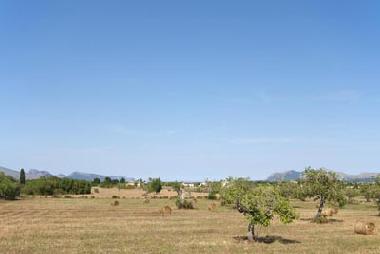 Maison de vacances /en/au alcudia (Mallorca)ou appartement ou maison de vacances