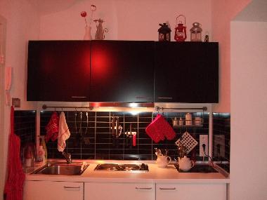 Appartement de vacances �/en/au St.Petersburg (Sankt-Peterburg)ou appartement ou maison de vacances