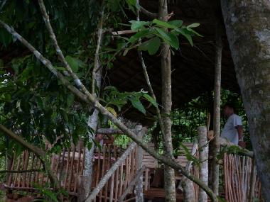 Chambre avec petit djeuner /en/au Hikkaduwa (Galle)ou appartement ou maison de vacances