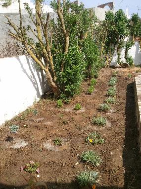 Maison de vacances �/en/au K�libia (Nabul)ou appartement ou maison de vacances