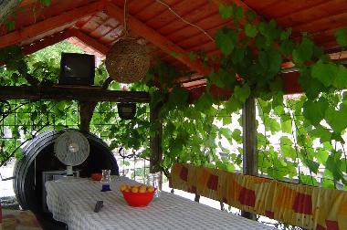 Appartement de vacances �/en/au Gyenesdi�s (Zala)ou appartement ou maison de vacances