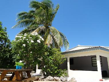 Maison de vacances �/en/au Grote Berg (Curacao)ou appartement ou maison de vacances