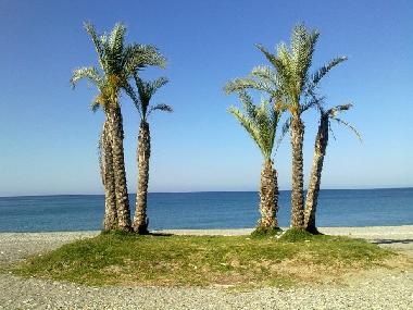 Appartement de vacances /en/au La Herradura (Almuecar) (Granada)ou appartement ou maison de vacances