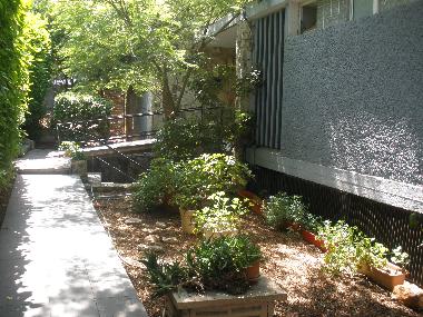 Chambre avec petit d�jeuner �/en/au Haifa (HaZafon (Northern))ou appartement ou maison de vacances