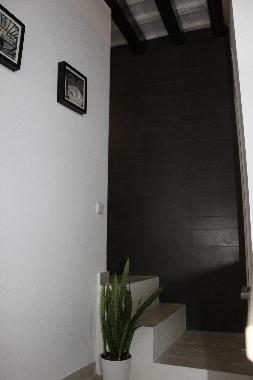 Appartement de vacances /en/au CADIZ (Cdiz)ou appartement ou maison de vacances