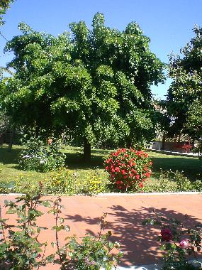 Appartement de vacances /en/au Colonella (Teramo)ou appartement ou maison de vacances