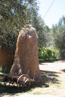 Maison de vacances /en/au Cabeceiras de Basto (Norte)ou appartement ou maison de vacances