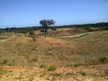 Chalet �/en/au sonega (Alentejo Litoral)ou appartement ou maison de vacances
