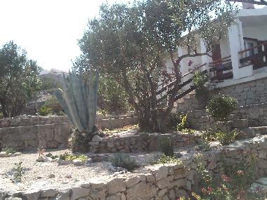 Maison de vacances /en/au Kaprije (Sibensko-Kninska)ou appartement ou maison de vacances