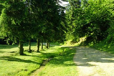 Maison de vacances �/en/au Timisu de Jos (Brasov)ou appartement ou maison de vacances