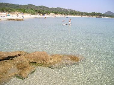 Appartement de vacances /en/au Villasimius (Cagliari)ou appartement ou maison de vacances