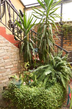 Appartement de vacances �/en/au Belgrade (Serbie central)ou appartement ou maison de vacances