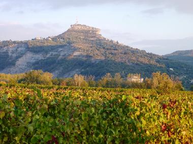 Chalet /en/au St. Alban Auriolles (Ardche)ou appartement ou maison de vacances