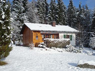 Maison de vacances /en/au Feldberg-Falkau (Schwarzwald)ou appartement ou maison de vacances