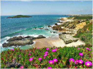 Chalet �/en/au sonega (Alentejo Litoral)ou appartement ou maison de vacances