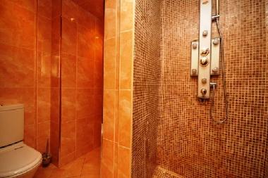 Appartement de vacances �/en/au St. Petersburg (Sankt-Peterburg)ou appartement ou maison de vacances