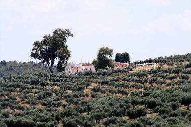 Appartement de vacances /en/au Hornachos (Badajoz)ou appartement ou maison de vacances