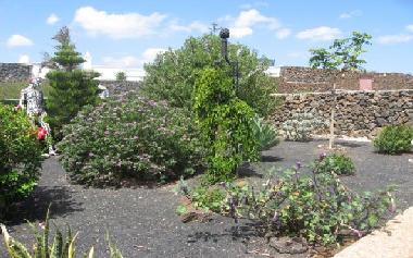 Maison de vacances /en/au Puerto Calero / Macher (Lanzarote)ou appartement ou maison de vacances