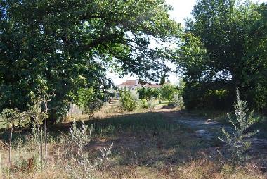 Villa /en/au Mas de dona Maria (Pinhal Litoral)ou appartement ou maison de vacances