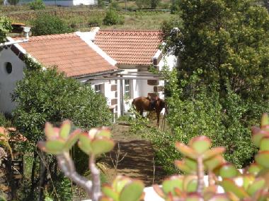 Maison de vacances �/en/au El Pinar / El Hierro (La Palma und El Hierro)ou appartement ou maison de vacances