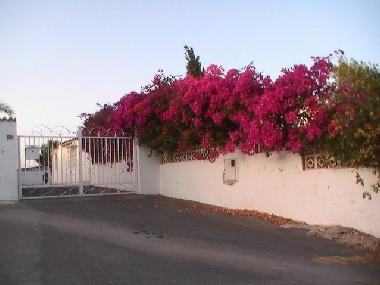 Maison de vacances �/en/au La Marina(Elche) (Murcia)ou appartement ou maison de vacances