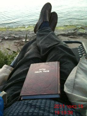 Chambre avec petit d�jeuner �/en/au TEL AVIV (Tel Aviv)ou appartement ou maison de vacances