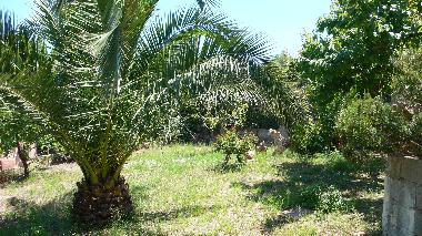 Maison de vacances �/en/au San Teodoro (Olbia-Tempio)ou appartement ou maison de vacances