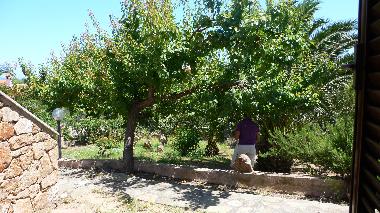 Maison de vacances �/en/au San Teodoro (Olbia-Tempio)ou appartement ou maison de vacances