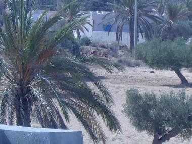 LA vu par la t�rrasse situ�e sur le toit d