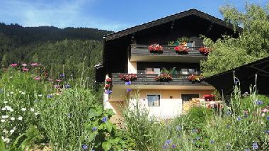 Appartement de vacances /en/au Millstatt (Oberkrnten)ou appartement ou maison de vacances