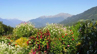 Appartement de vacances /en/au Millstatt (Oberkrnten)ou appartement ou maison de vacances