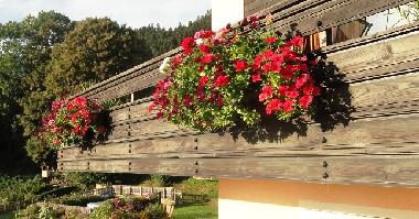 Appartement de vacances /en/au Millstatt (Oberkrnten)ou appartement ou maison de vacances