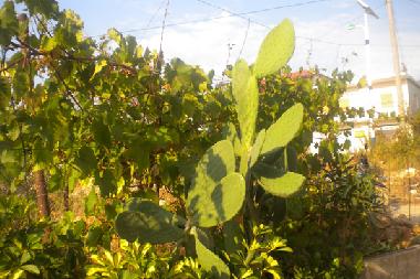 Maison de vacances /en/au Ksamil (Sarande)ou appartement ou maison de vacances