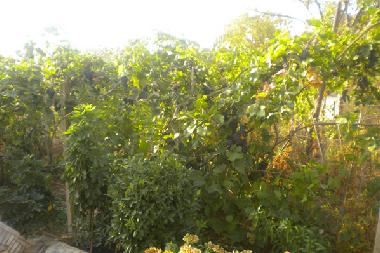 Maison de vacances /en/au Ksamil (Sarande)ou appartement ou maison de vacances