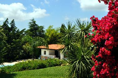 Villa �/en/au Barao de Sao Miguel (Algarve)ou appartement ou maison de vacances