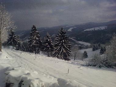 Maison de vacances /en/au freconrupt (Bas-Rhin)ou appartement ou maison de vacances