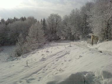 Maison de vacances /en/au freconrupt (Bas-Rhin)ou appartement ou maison de vacances