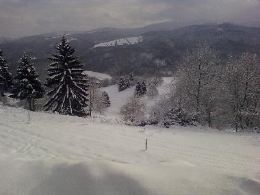 Maison de vacances /en/au freconrupt (Bas-Rhin)ou appartement ou maison de vacances