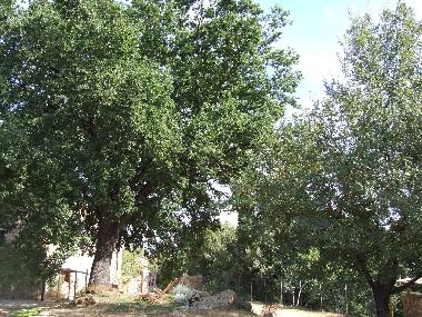 Appartement de vacances /en/au Colle Val d