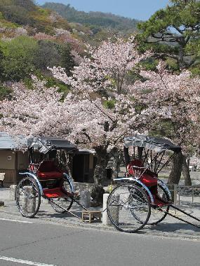 Appartement de vacances �/en/au kyoto-shi (Kyoto)ou appartement ou maison de vacances