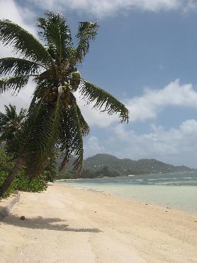Appartement de vacances �/en/au Mahe (Anse Royale)ou appartement ou maison de vacances