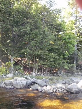 Maison de vacances �/en/au East Machias (Maine)ou appartement ou maison de vacances