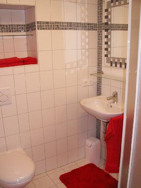 Maison de vacances /en/au 77704 (Schwarzwald)ou appartement ou maison de vacances