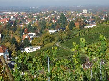Maison de vacances /en/au 77704 (Schwarzwald)ou appartement ou maison de vacances