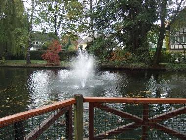 Maison de vacances /en/au 77704 (Schwarzwald)ou appartement ou maison de vacances