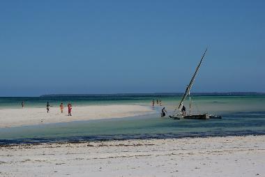 Maison de vacances /en/au diani beach (Coast)ou appartement ou maison de vacances