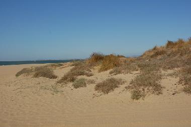 Appartement de vacances /en/au AYAMONTE (Huelva)ou appartement ou maison de vacances