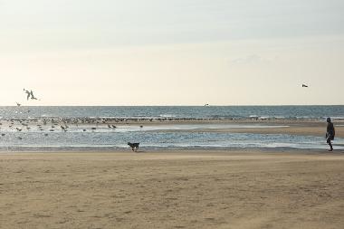 Appartement de vacances /en/au AYAMONTE (Huelva)ou appartement ou maison de vacances