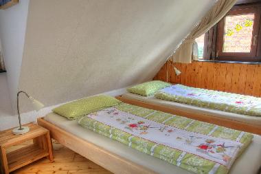 Maison de vacances /en/au Rheinau (Schwarzwald)ou appartement ou maison de vacances